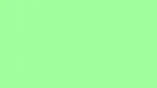 30 Minutes Mint Green #98FF98 Screen | Background | Screensaver | Backdrop | Meditation | 4K
