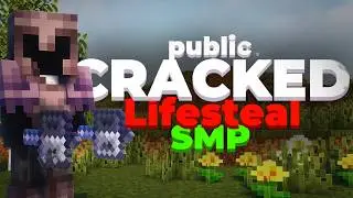 The BEST Public Cracked Lifesteal SMP! (free to join)