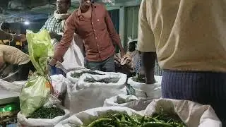 vellore vegetable market wholesale #vegetables #chilli #freshvegetables #vellore #vellorefort 🍆🥒🍅🥭