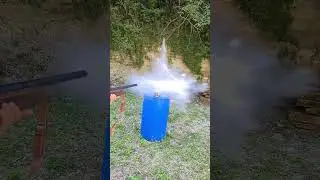 shotgun gauge 12 #shorts #viral #shotgun