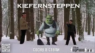 сосну в степи