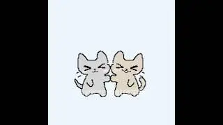 MIAU MAO MIAO MAO‼️