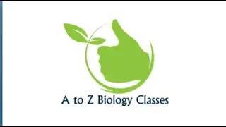 CPET CLASS BY J.P. MAAM \\ ANIMAL KINGDOM \\