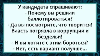 Настоящий кандидат! Сборник анекдотов. Юмор.
