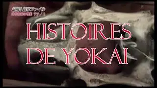 LA LEGENDE DE TSUCHINOKO - HISTOIRES DE YOKAI - EPISODE 1