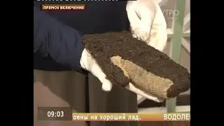 Прямое включение. Праздник варежки