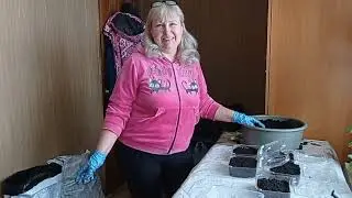 16 марта/Опять болтаю/ посеяла томаты/ПИЦЦА🍕 и БЛИНЫ🥞