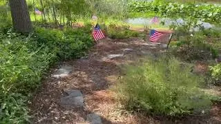 Veterans Day at the Garden