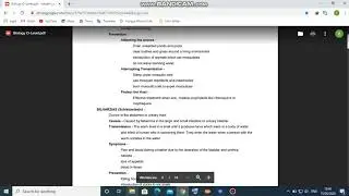 sunstine study reality biology