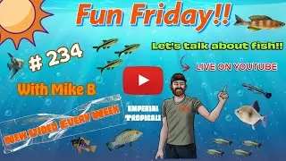 Fun Friday 