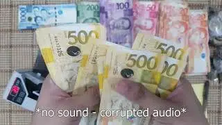 [48] ASMR MONEY SORT & COUNT - Let's Sort and Count 81,974.00 Philippine Pesos (PHP) - NO AUDIO