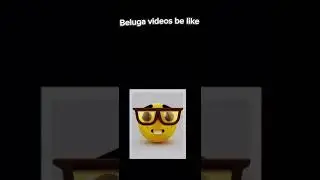 Beluga videos be like 