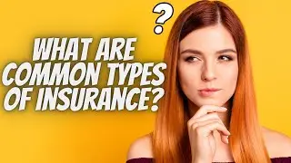 What are common types of insurance?