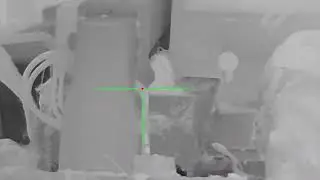 FIRST RATS WITH THE NEW THERMAL SCOPE