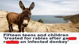 r/iamatotalPOS Top Posts of All Time 
