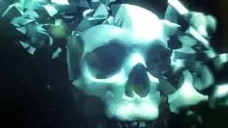 Skull-Head Animation - Free Overlay Stock Footage