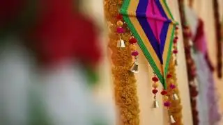 HALDI SHOOT MAYANK & PANKHUDI //  CINEMATOGRAPHY - DBBS STUDIO //