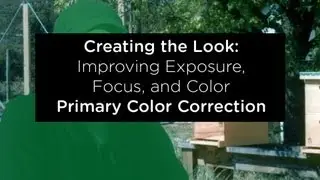 DaVinci Resolve 9 Creating the Look - Part 2: Primary Grading - Improving Exposure, Focus, Color