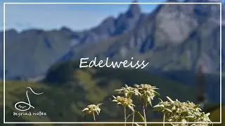 Edelweiss (The Sound of Music)｜Jazz & popular piano