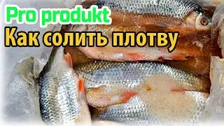 Как солить плотву что бы потом можно было сушить