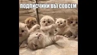Yanulya27: чатик Янули как смысл жизни 8