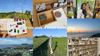 south korea vlog: being stuck in the back of a kitchen, almost falling into the pacific ocean & more