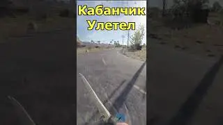 Кабанчик улетел в #раст #rust #inside #kappa #shorts
