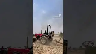 Dinosaur 🦖🔥