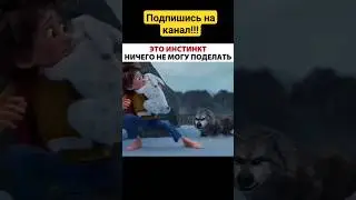 Мультфильм 