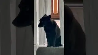 ЛАЙФХАК: КАК ПРЕКРАТИТЬ ЧТО УГОДНО!