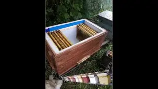 Как делать отводки ,нуклеусы и подсаживать матки