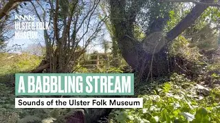 A Babbling Stream | Sounds of the Ulster Folk Museum