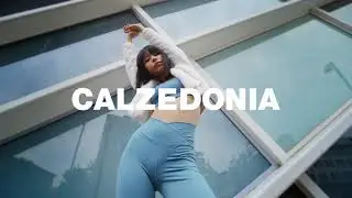FW21 Active Leggings - Calzedonia