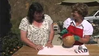 Sleepy Hollow Farm Part 2
