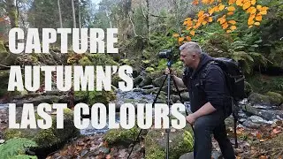 Not Too Late for Autumn in the Peak District