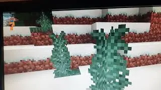 Mincraft part 1