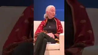 True or false: Jane Goodall hugs like a chimpanzee?