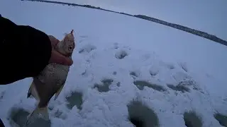 Ловля леща 2022 застряли по пути на рыбалку!
