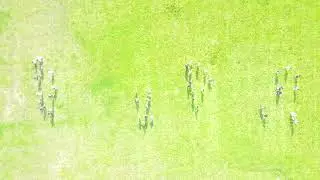 “The Sweets of May” from The New England Dancing Masters (Drone Video)