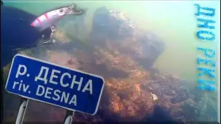 Находки на дне р. Десна. Чернигов. Подводная съемка.