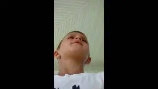 Epic catch by cat!!!!!!!!!!!!!!