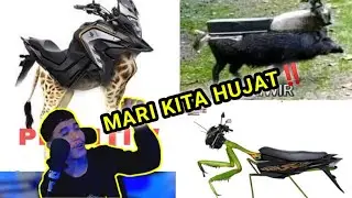 ROASTING MOTOR LU !