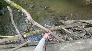 Fishing Vermont Potash Brook