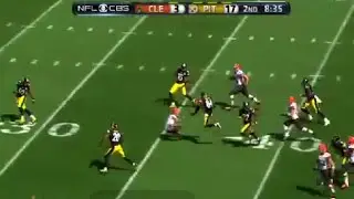 Antonio Brown Kicks Punter in Face, Necessary Roughness