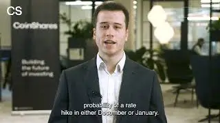Market Update - November 3rd 2023