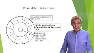 Kroppens vätskerum