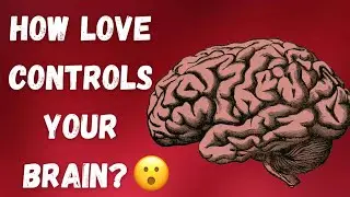 20 Fun Facts About Love and The Brain