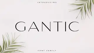 Gantic Font Family   Sans Serif Font Free Download