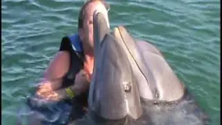 The Fresh 102.7 morning show swims with the dolphins!
