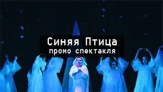 Синяя птица. Спектакль